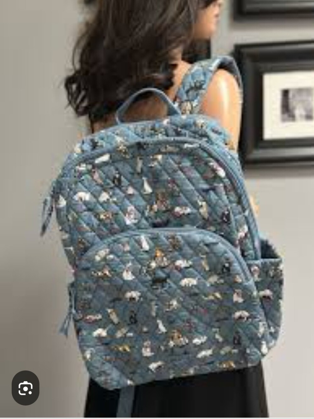 Vera Bradley Cat print Backpack